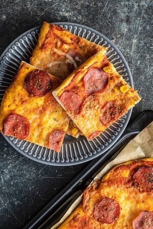 Pieces of homemade Italian pizza on plate. Top view.の写真素材