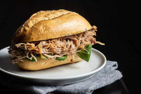 Sandwich with pulled meat on plate