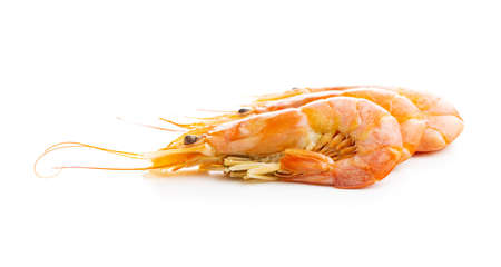 Boiled tiger prawns isolated on white background. Tasty shrimps.の写真素材