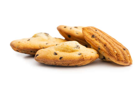 Madeleine with chocolate. Traditional French small cakes isolated on white background.