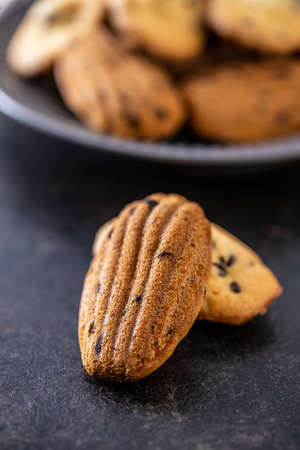 Madeleine with chocolate. Traditional French small cakes on black table.