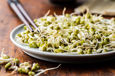 Sprouted green mung beans. Mung sprouts on plate on wooden table.の写真素材