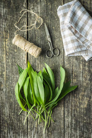Green ramsons leaves. Wild garlic on old wooden table.の写真素材