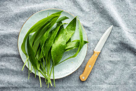 Green ramsons leaves. Wild garlic on plate. Top view.の写真素材