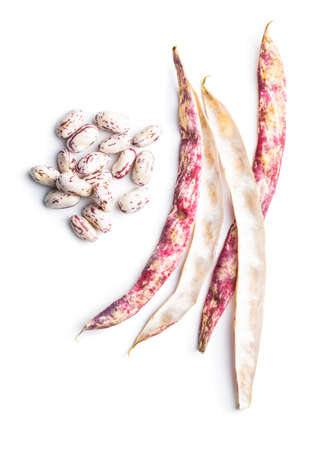 Cranberry beans. Beans pods isolated on a white background.
