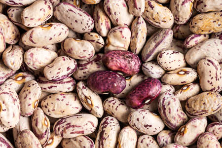 Dried cranberry beans. Borlotti beans. Top view.