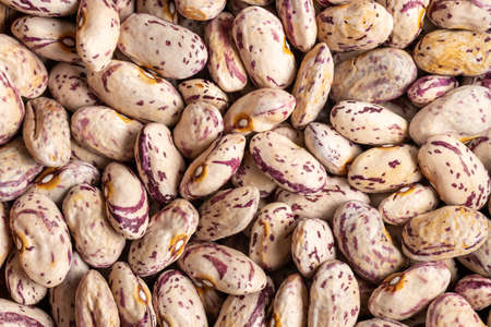Dried cranberry beans. Borlotti beans. Top view.