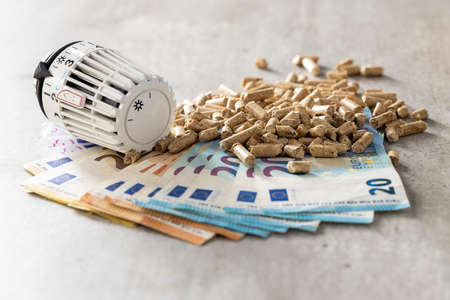Wooden pellets, euro banknotes and thermostatic head. Ecologic heating.の写真素材