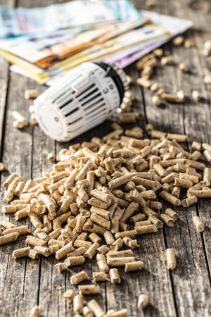 Wooden pellets, euro banknotes and thermostatic head. Ecologic heating.の写真素材