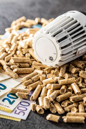 Wooden pellets, euro banknotes and thermostatic head. Ecologic heating.の写真素材