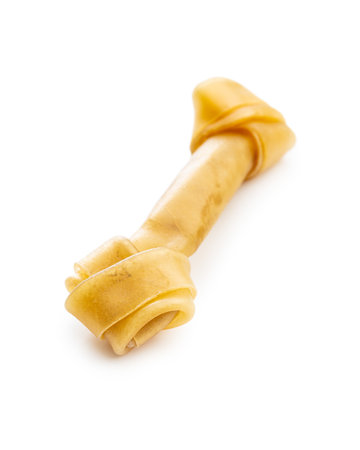 Delicacy for dogs. Chewing bone for dog isolated on white background.
