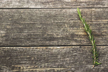 Green rosemary branch on wooden table. Top view.の写真素材