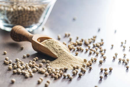 White ground pepper and whole peppercorn spice in a wooden scoop.の写真素材