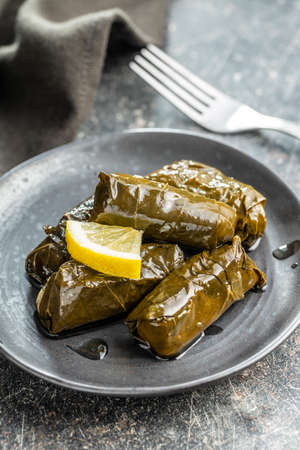 Dolmades. Stuffed vine leaves. Greek appetizer on the plate.の写真素材