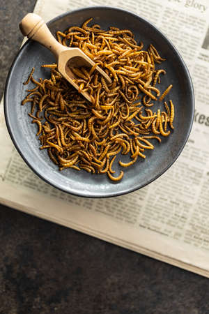Fried salty worms. Roasted mealworms on a plate. Top view.の写真素材