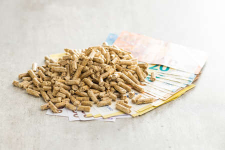 Wooden pellets and euro banknotes, biofuel on a wooden table. Ecologic fuel made from biomass. Renewable energy source.の写真素材