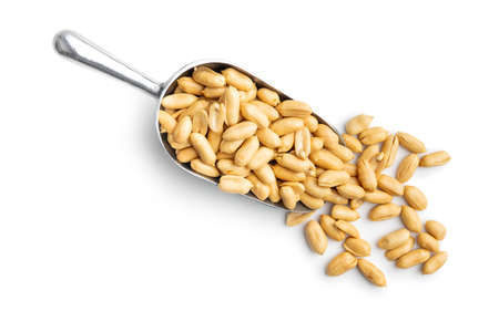 Roasted peeled peanuts in a scoop isolated on a white background.