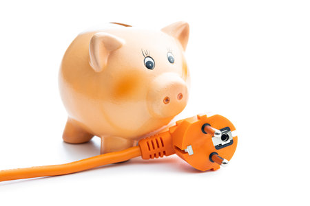 Orange extension Power Cord and piggy bank isolated on white background. Concept of increasing...