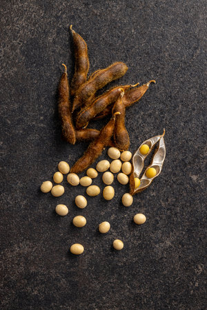 Soy beans. Dried soybean pod on the black table. Top view.