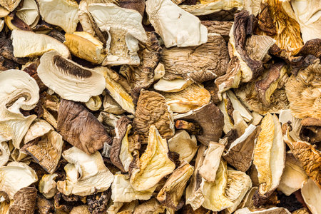 The sliced dried mushrooms. Top view.の写真素材