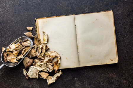 Blank recipe book and sliced dried mushrooms. Top view.の写真素材