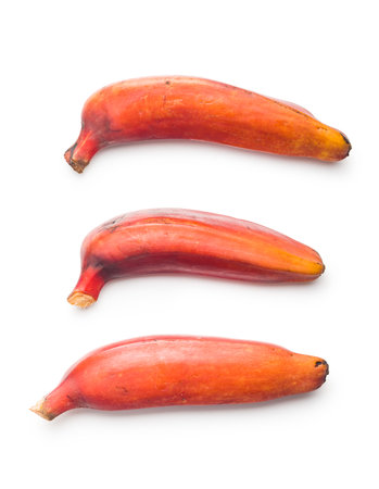 Tasty red bananas isolated on the white background.の写真素材