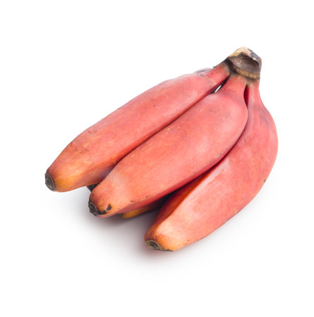 Tasty red bananas isolated on the white background.の写真素材
