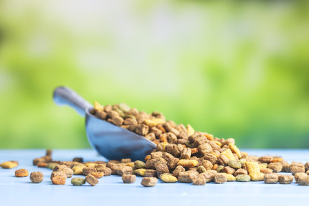Dry kibble pet food in the scoop. Dog or cat food on garden table.の写真素材