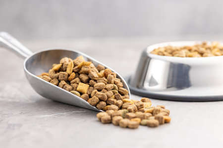 Dry kibble pet food. Dog or cat food in scoop on the gray table.の写真素材