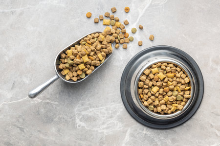 Dry kibble pet food. Dog or cat food in scoop on the gray table. Top view.の写真素材