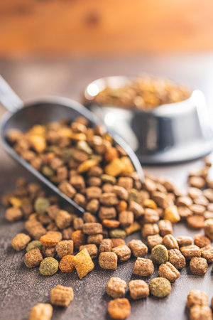 Dry kibble pet food. Dog or cat food on the old table.の写真素材