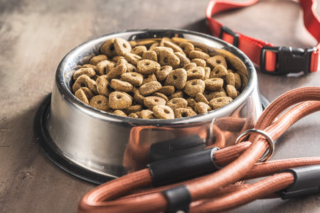 Dog lead and the dry pet foodの写真素材