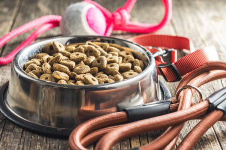 Dog lead and dry food on the wooden table.の写真素材