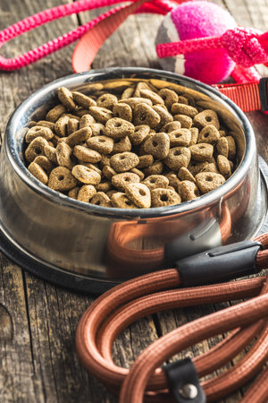 Dog lead and dry food on the wooden table.の写真素材