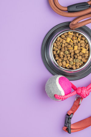 Dog lead, toy and dry food on the violet table. Top view.の写真素材