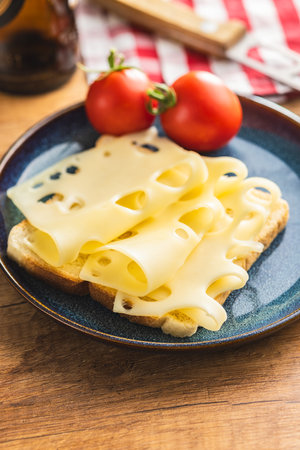 Slices of cheese on bread on the plate. Tasty sandwiches.の写真素材