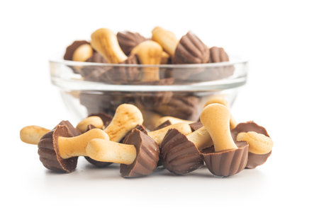 Candy in the shape of a mushroom. Chocolate mushrooms isolated on the white background.の写真素材