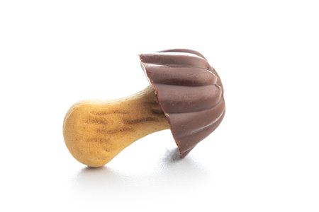 Candy in the shape of a mushroom. Chocolate mushrooms isolated on the white background.の写真素材