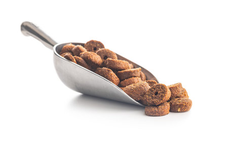 Dry animal food. Dog or cat kibble in scoop isolated on the white background.の写真素材