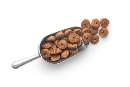 Dry animal food. Dog or cat kibble in scoop isolated on the white background.の写真素材