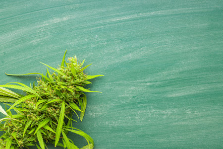 Marijuana buds. Cannabis plant on the green blackboard. Top view.の写真素材