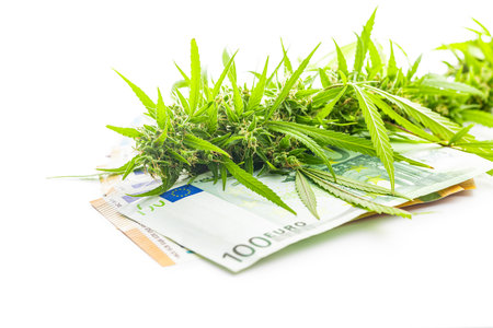 Marijuana buds. Cannabis plant and paper euro banknotes isolated on the white background.の写真素材