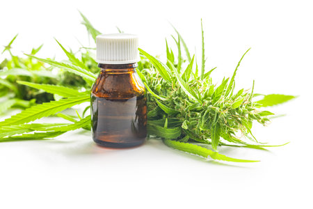 Marijuana buds. Cannabis plant and oil in glass bottle isolated on the white background.の写真素材