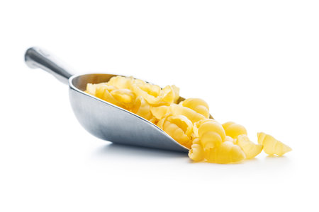 Uncooked gnocchi pasta. Raw italian pasta in scoop isolated on the white background.の写真素材