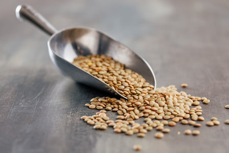 Uncooked lentil legumes in the scoop.の写真素材