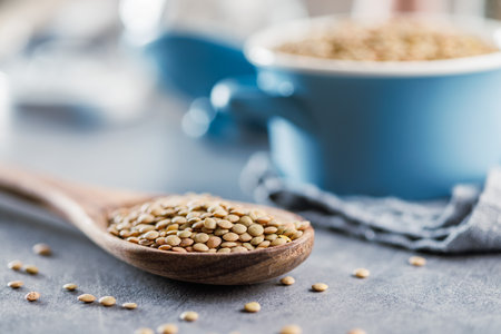 Uncooked lentil legumes in wooden spoon on the kitchen table.の写真素材