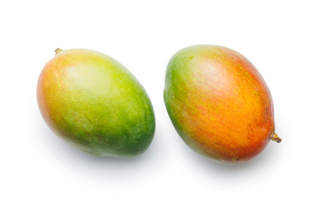 Ripe mango fruit isolated on the white background.の写真素材