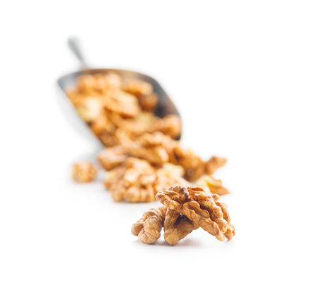 Peeled dried walnut kernels isolated on the white background.の写真素材
