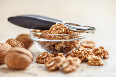 Peeled dried walnut kernels in the bowl.の写真素材