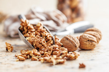 Peeled dried walnut kernels in the scoop.の写真素材